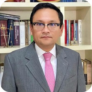 Luis Francisco Casas Farfán